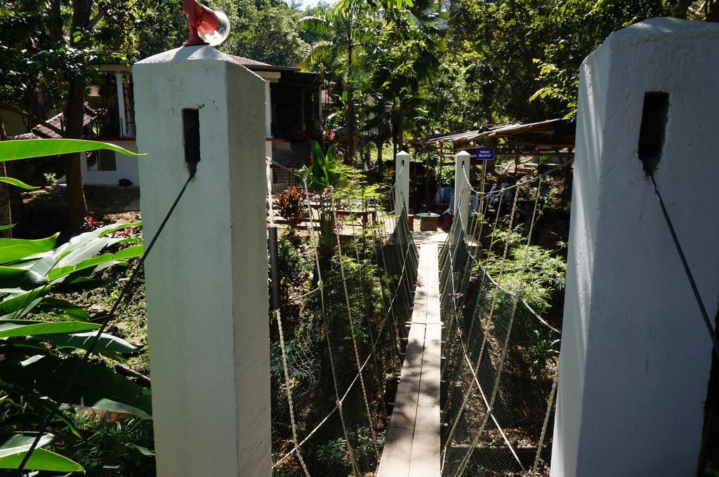 Han Rainforest Resort Kuala Tahan Zewnętrze zdjęcie