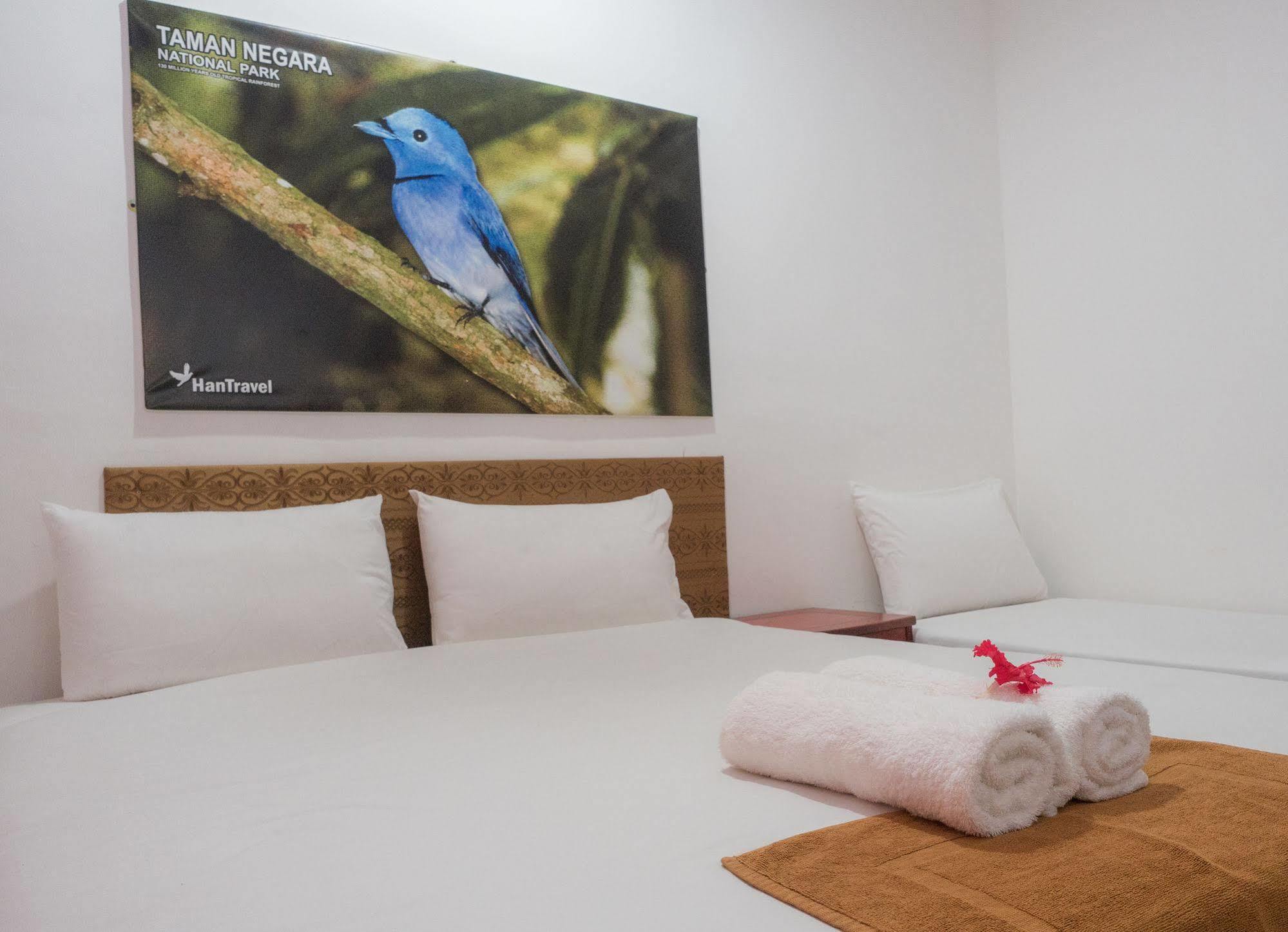 Han Rainforest Resort Kuala Tahan Zewnętrze zdjęcie
